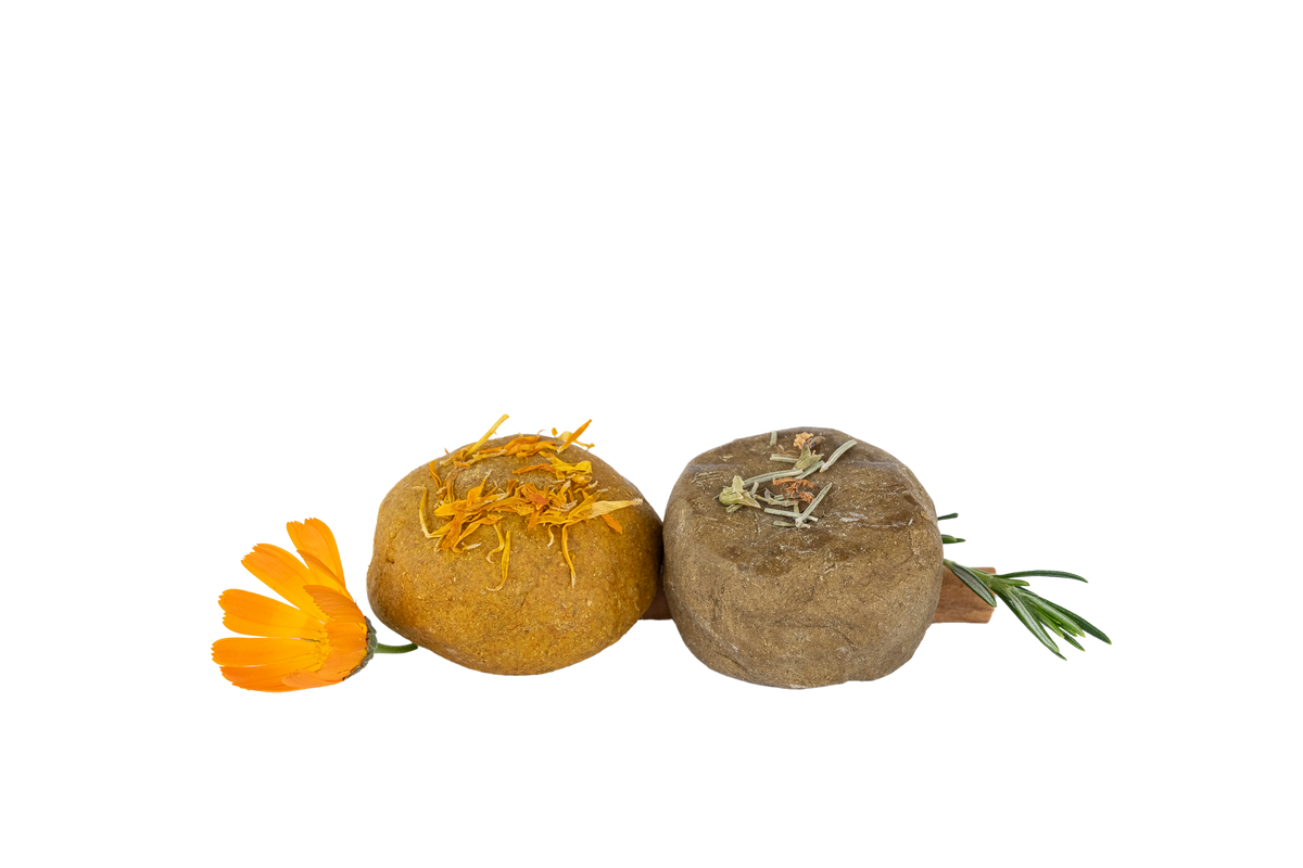 champus-solidos-1