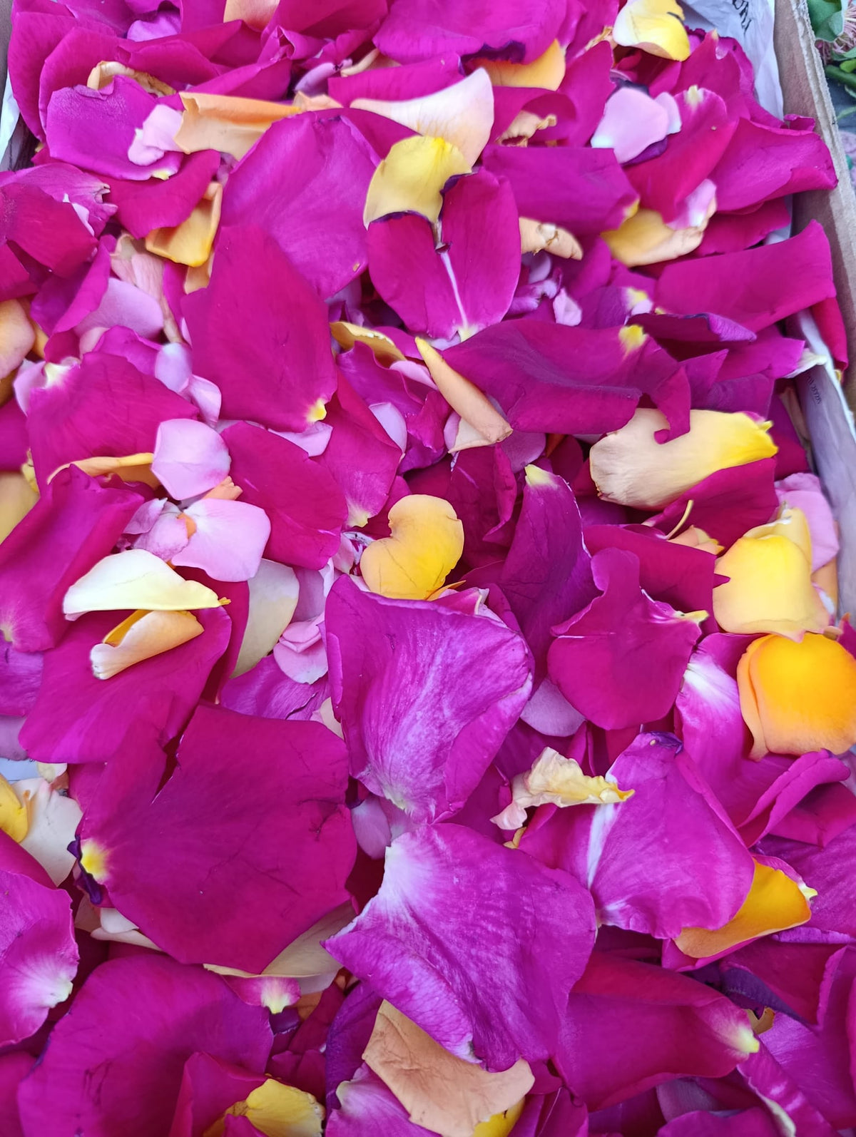 Baño de flores para la abundancia